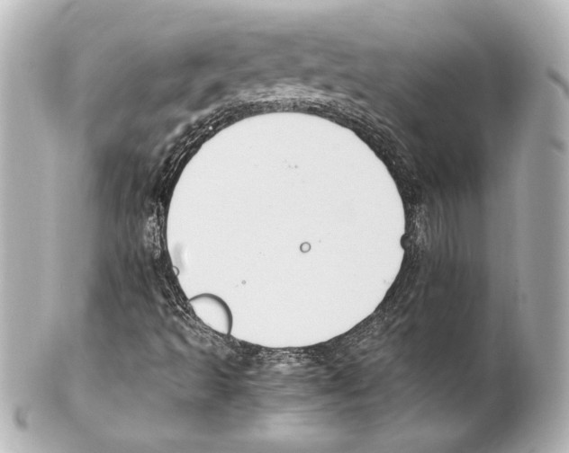 X0000101461493200808041029