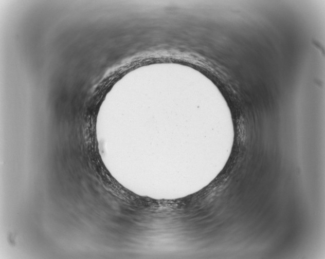 X0000101461494200808041029