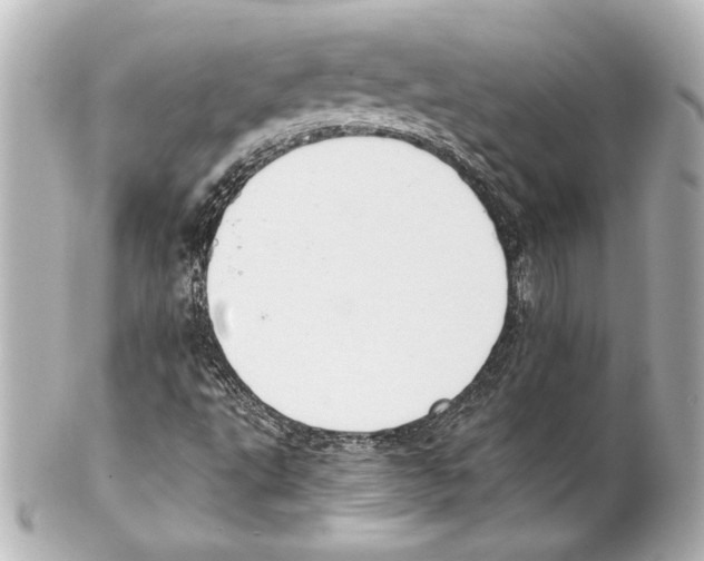 X0000101461495200808041029