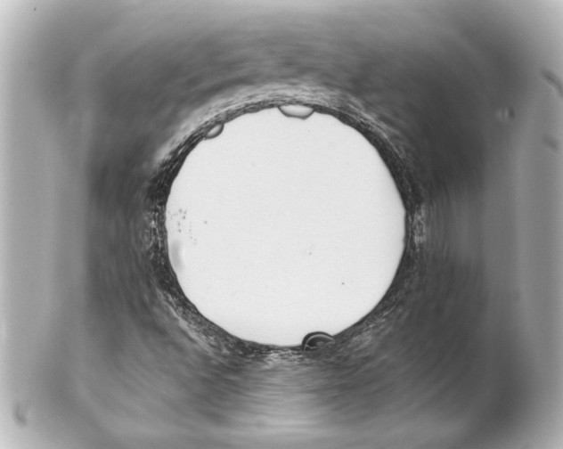 X0000101461496200808041029