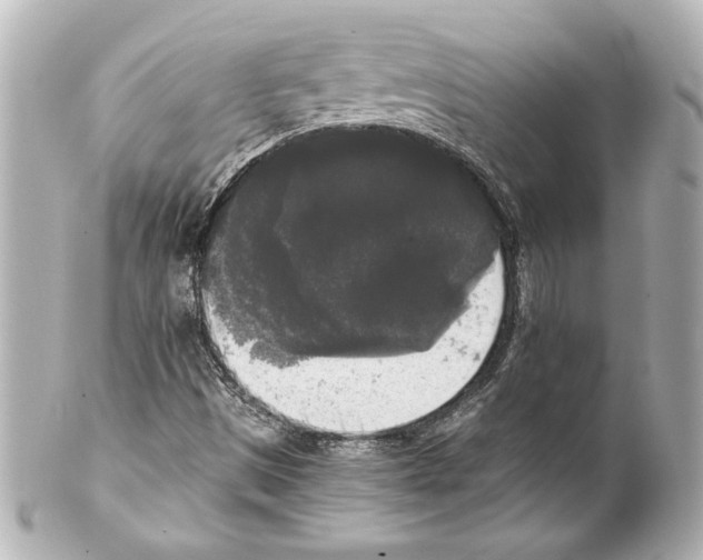 X0000101461497200808041029