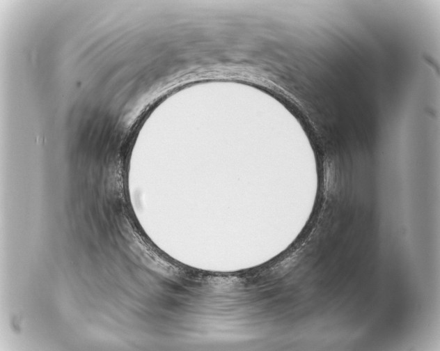 X0000101461498200808041029