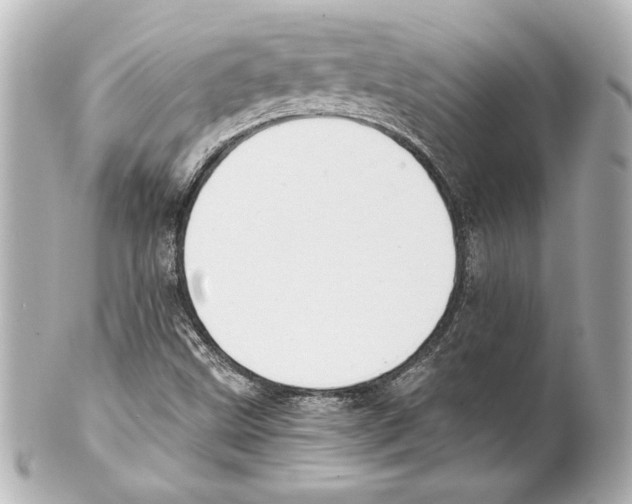 X0000101461499200808041029