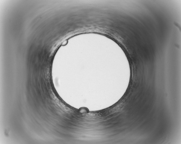 X0000101461500200808041029