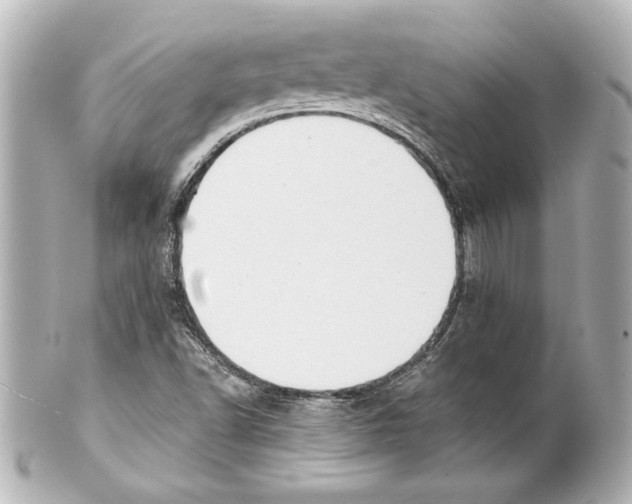 X0000101461502200808041029