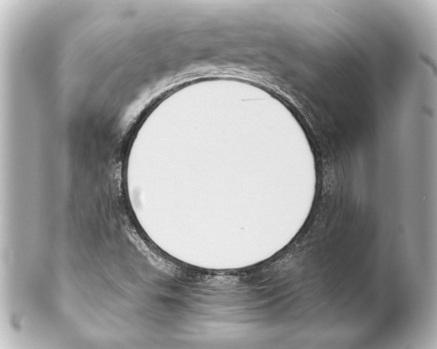 X0000101461503200808041029