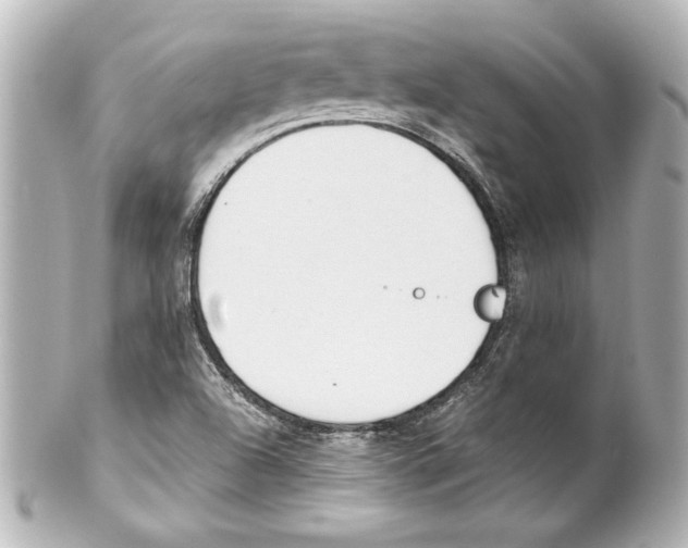 X0000101461504200808041029