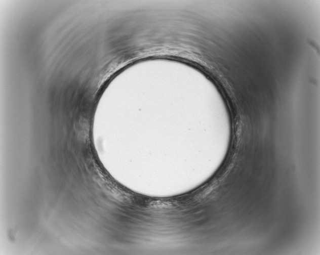 X0000101461505200808041029