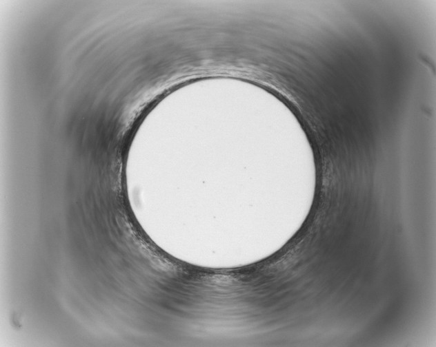 X0000101461507200808041029