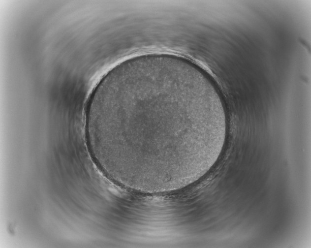 X0000101461508200808041029