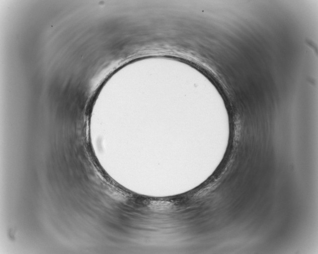 X0000101461509200808041029