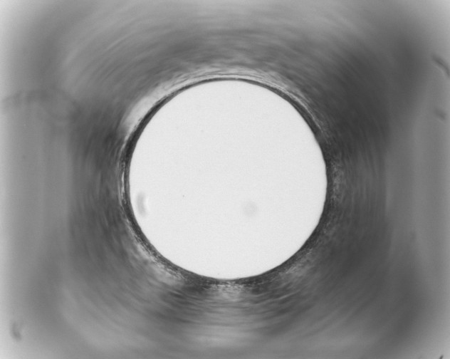 X0000101461511200808041029