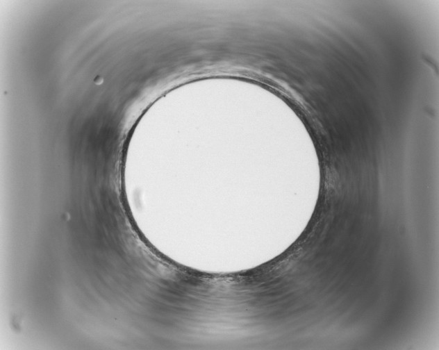 X0000101461512200808041030