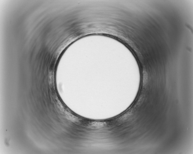 X0000101461513200808041030