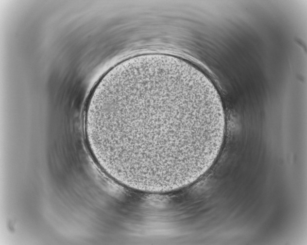 X0000101461514200808041030