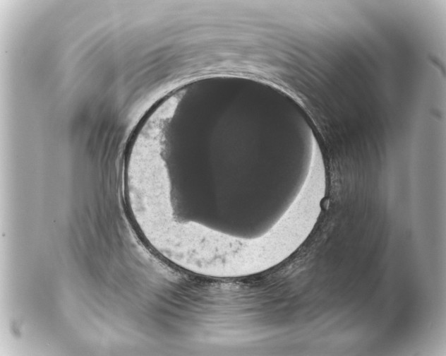 X0000101461515200808041030