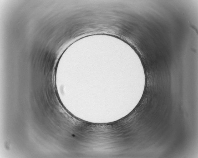 X0000101461516200808041030