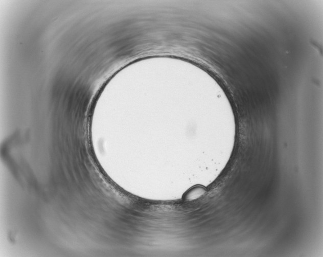 X0000101461517200808041030