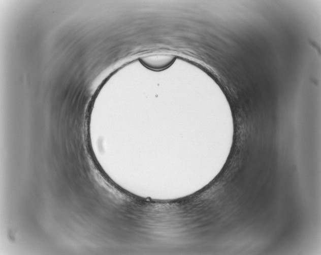 X0000101461518200808041030