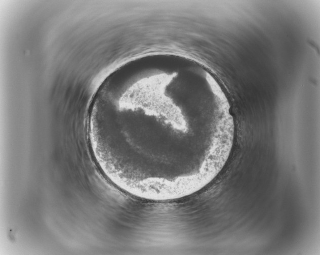 X0000101461519200808041030