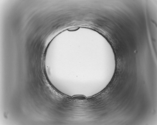 X0000101461520200808041030