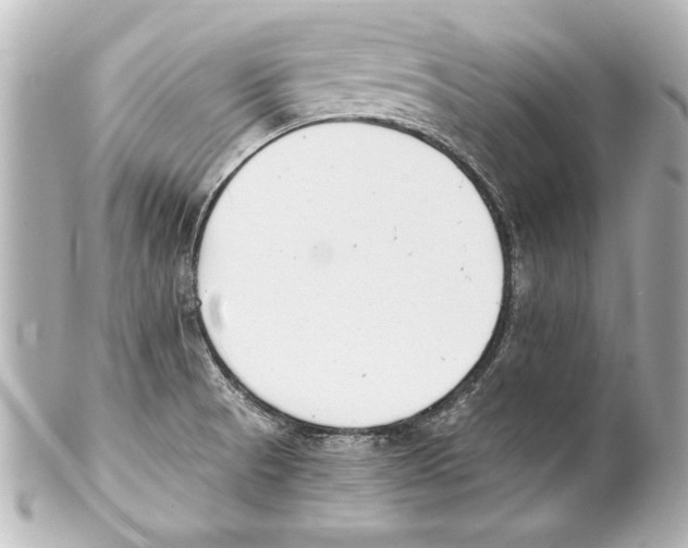 X0000101461521200808041030