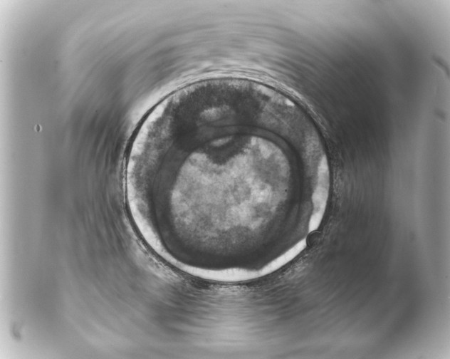 X0000101461522200808041030