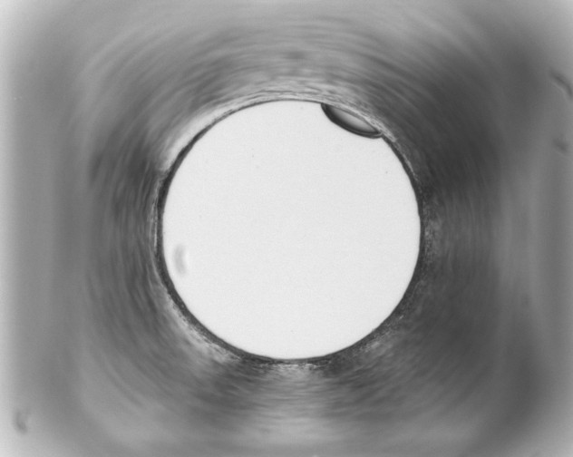 X0000101461523200808041030