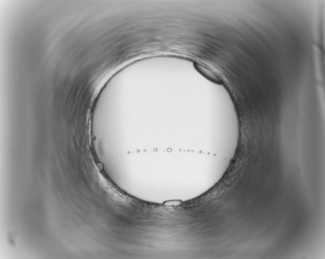 X0000101461524200808041030