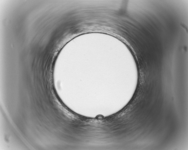 X0000101461525200808041030