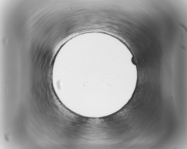 X0000101461526200808041030