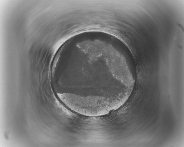 X0000101461527200808041030