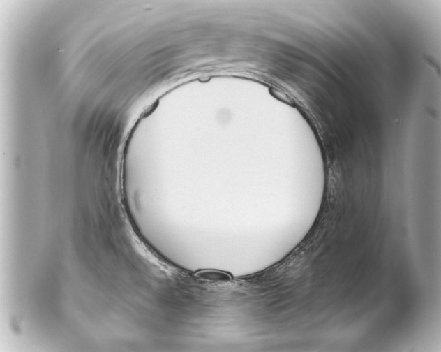 X0000101461528200808041030