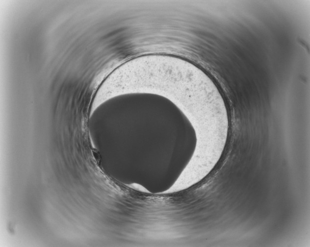 X0000101461529200808041030