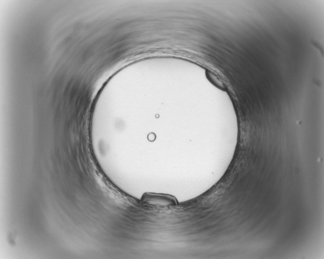 X0000101461530200808041030