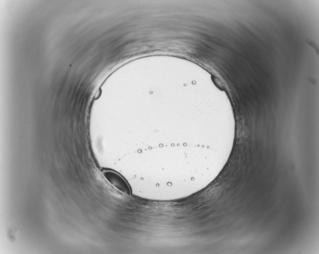 X0000101461532200808041030