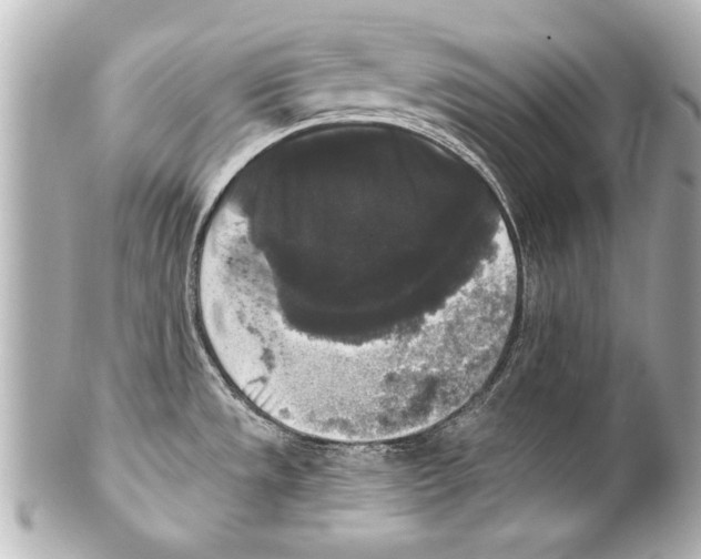 X0000101461533200808041030