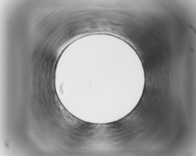 X0000101461534200808041030