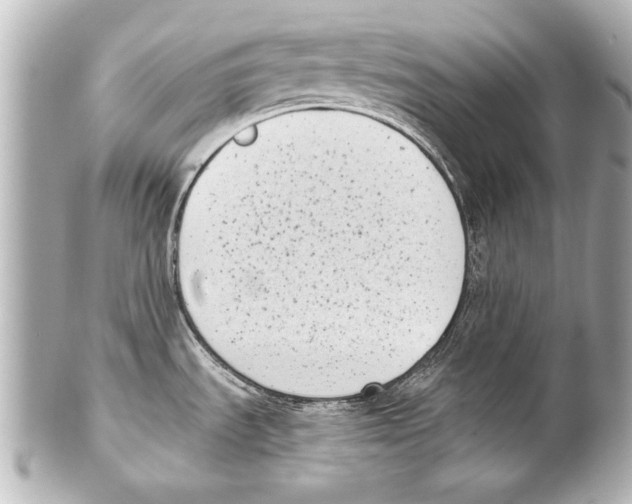 X0000101461535200808041030