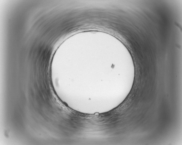 X0000101461536200808041030