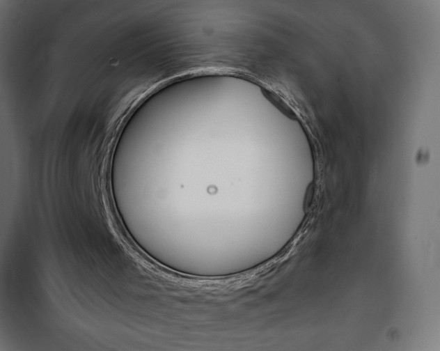 X0000101470001200807071230