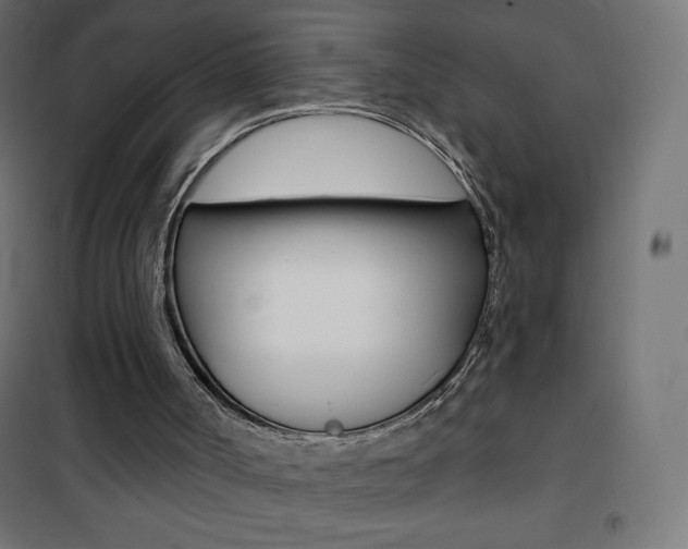 X0000101470002200807071230
