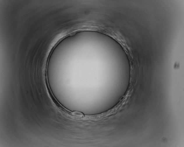 X0000101470003200807071230