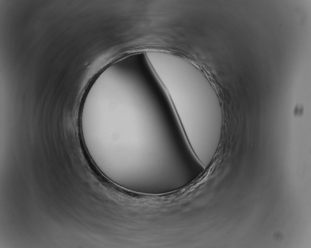 X0000101470004200807071230