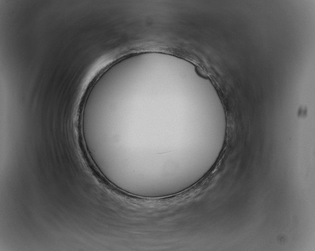 X0000101470006200807071230
