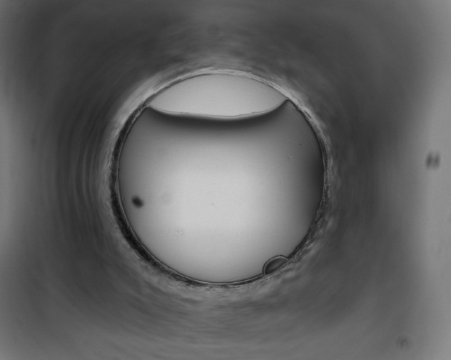 X0000101470007200807071230
