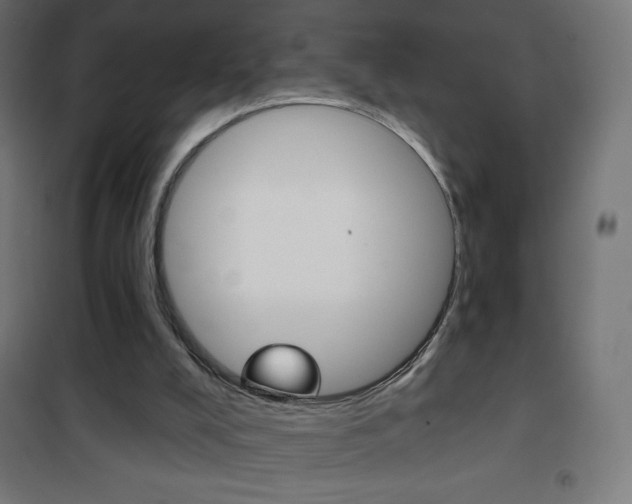 X0000101470008200807071230