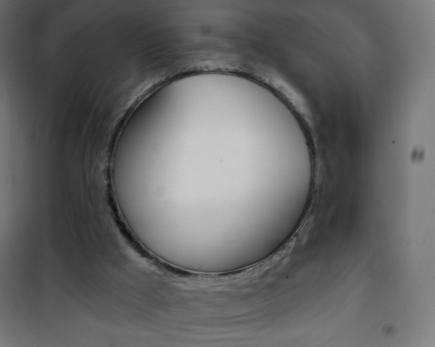 X0000101470009200807071230
