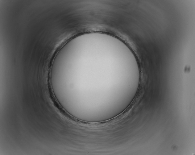 X0000101470010200807071230