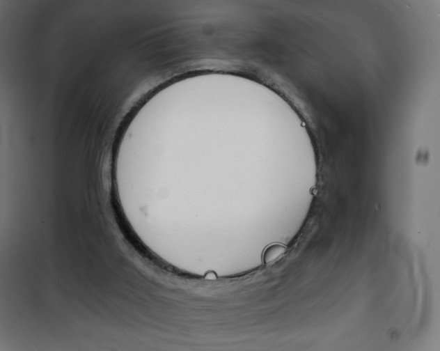 X0000101470011200807071230